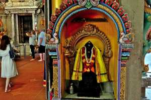 LITTLE INDIA (148)